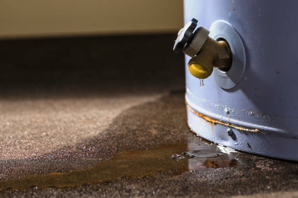 Best Flooded house restoration  in Glenview, IL