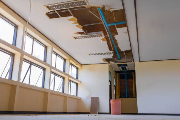 Best Carpet water damage restoration  in Glenview, IL