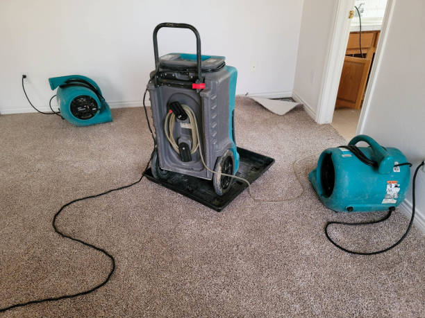 Best Local water damage restoration  in Glenview, IL
