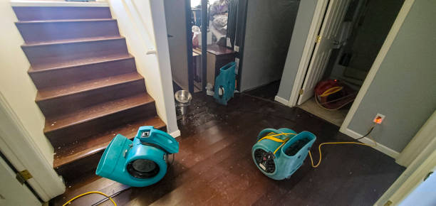 Best Flood restoration services  in Glenview, IL