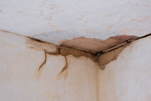 Best Water damage mitigation services  in Glenview, IL