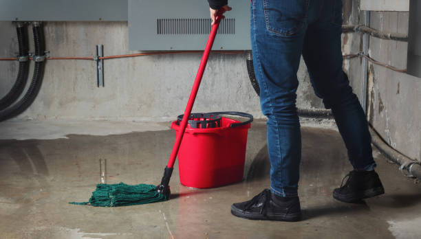 Best Basement water damage restoration  in Glenview, IL