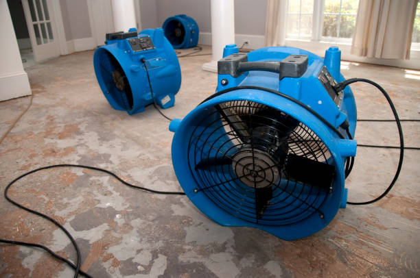 Best Emergency water damage restoration  in Glenview, IL