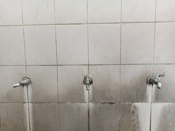Best Water damage cleanup near me  in Glenview, IL
